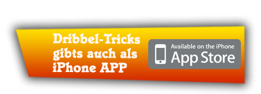 BILD Stoerer Iphone App